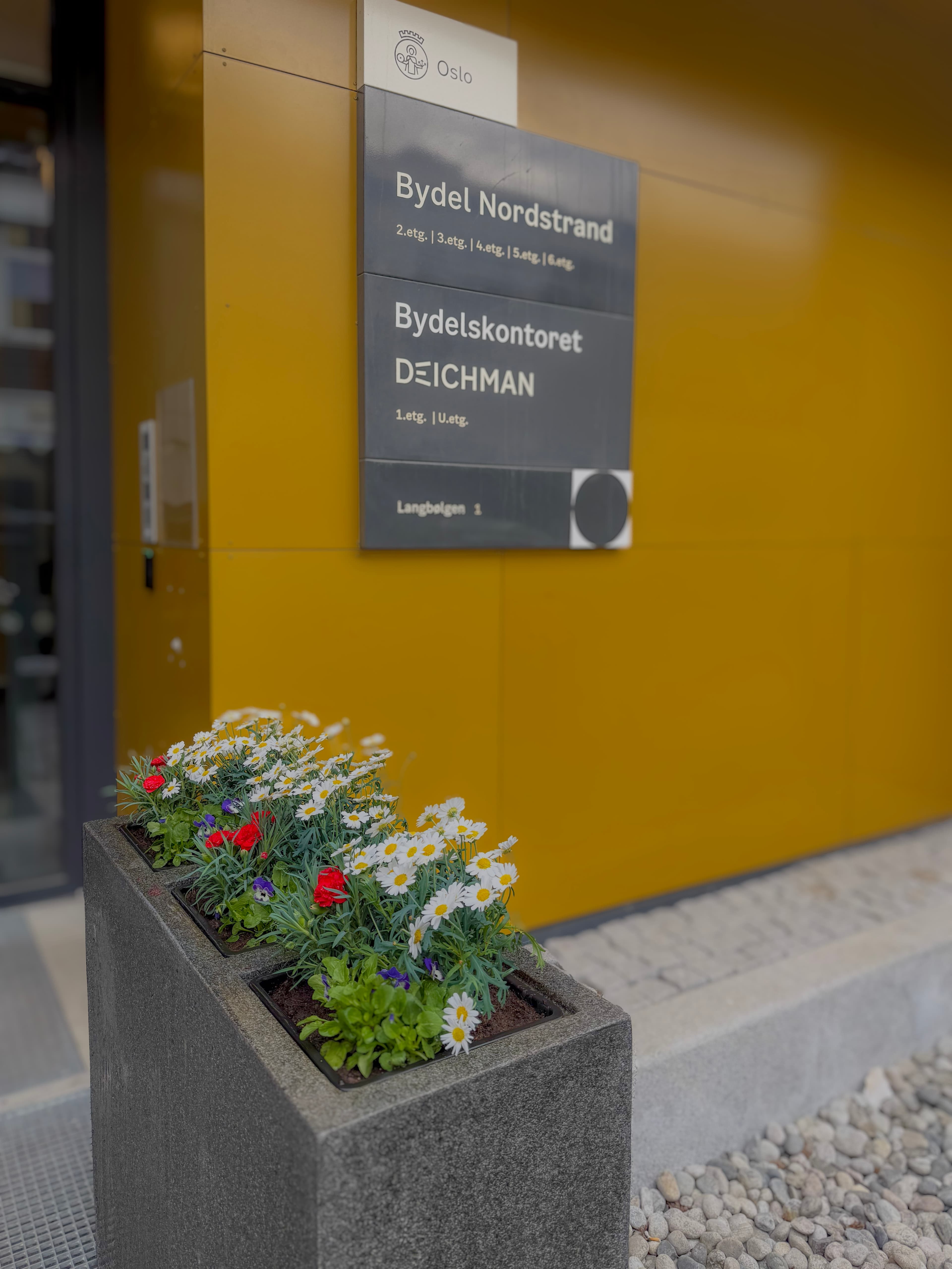 Beplantning ved offentlig bygg