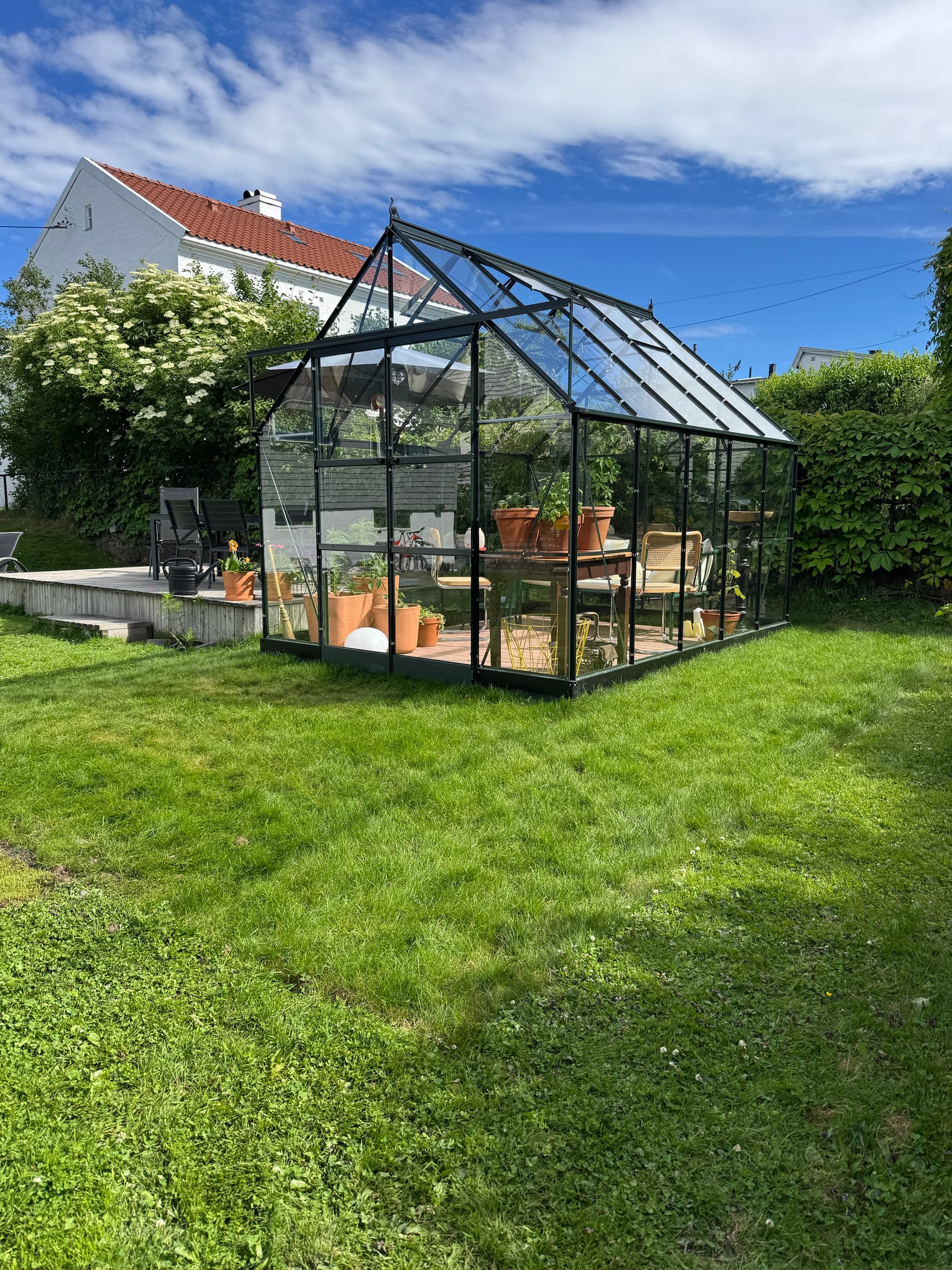 Nyanlagt plen med drivhus og terrasse i privat hage
